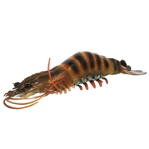 HANABASS Simulationsgarnelenmodell Garnelen aus Kunststoff Lernspielzeug interessantes Garnelenspielzeug Haushaltsspielzeug für realistische Garnelen Plastik HANABASS Simulationsgarnelenmodell Garnelen aus Kunststoff Lernspielzeug interessantes Garnelenspielzeug Haushaltsspielzeug für realistische Garnelen Plastik von HANABASS