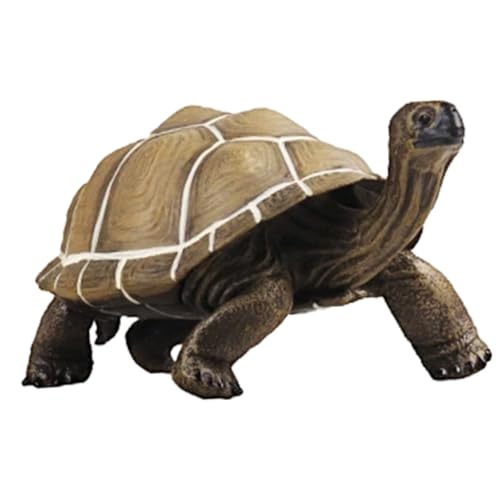 HANABASS Schildkrötenmodell für Kinder Künstliche Schildkröte Figurine aus Kunststoff Realistische Dekoration für Haus und Garten Simulation für Lernspiele HANABASS Schildkrötenmodell für Kinder Künstliche Schildkröte Figurine aus Kunststoff Realistische Dekoration für Haus und Garten Simulation für Lernspiele von HANABASS