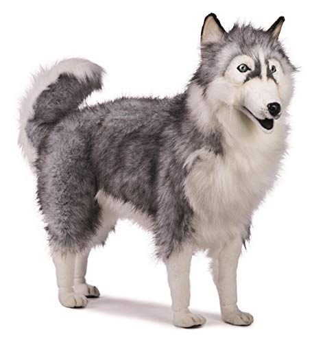 5047 - Hansa Toy - Husky grau 70 cm von Hansa Toy