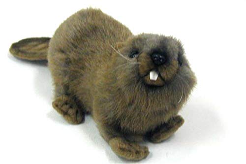 Hansa Plüsch, Biber, liegend, 22 cm L von Hansa