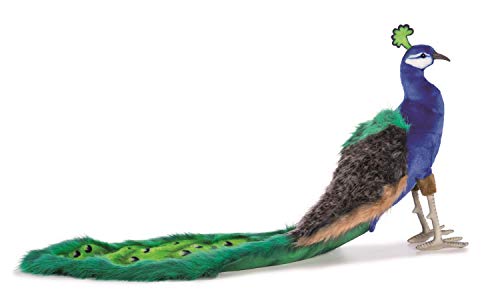 Hansa Plüsch-Pfau, 33 cm/100 cm von Hansa