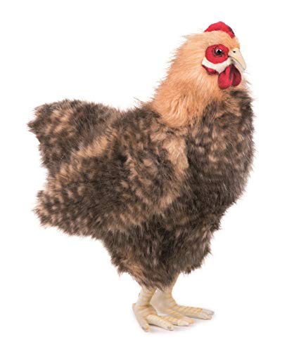HANSA Plüschtier Huhn, Beige, 40 cm H HANSA Plüschtier Huhn, Beige, 40 cm H von HANSA