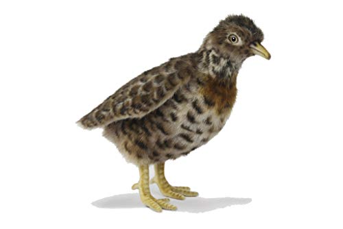 Hansa 7477 Plains Wanderer Plush Soft Toy von Hansa