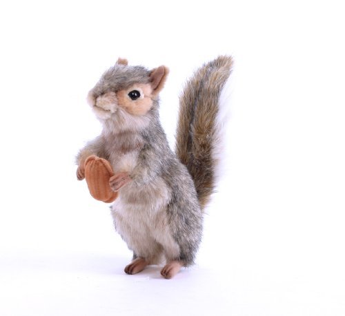 Hansa Plüschtier, Eichhörnchen mit Nuss, 20 cm, Grau von HANSA