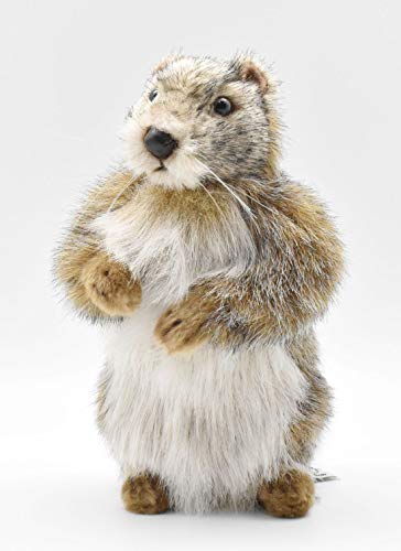 HANSA – Plüschtier Marmotte 25 cm H von HANSA