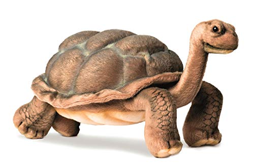 Plüschtier Schildkröte Galapagos 16 cmH/30 cm L von HANSA