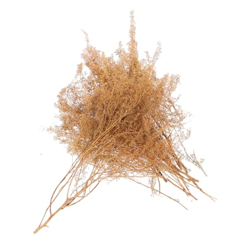 HAPINARY 1 Box Mikrolandschaft Baumpflanze Modell Schmuck Sandtisch DIY Modell Mini Landschaft Gras Modell Grüne Landschaft Gras Landschaft DIY Gras Landschaft Modell Gras Mini Landschaft von HAPINARY