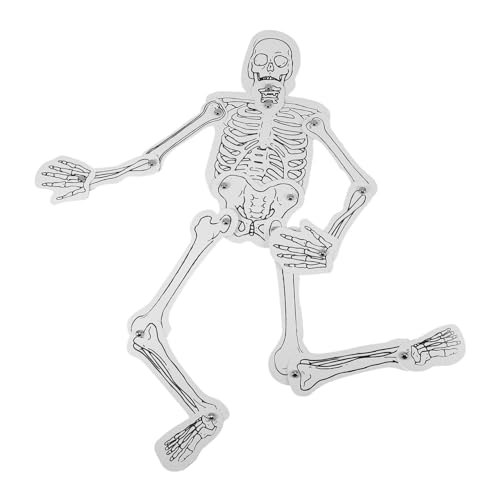 HAPINARY 1 Menschliches Skelett Spielzeug Für Die Bildung. Zusammenbau des Menschlichen Skeletts. Menschliches Skelett Bausatz Für Menschliche Knochen. Menschliches Skelett. Kognitives HAPINARY 1 Menschliches Skelett Spielzeug Für Die Bildung. Zusammenbau des Menschlichen Skeletts. Menschliches Skelett Bausatz Für Menschliche Knochen. Menschliches Skelett. Kognitives von HAPINARY