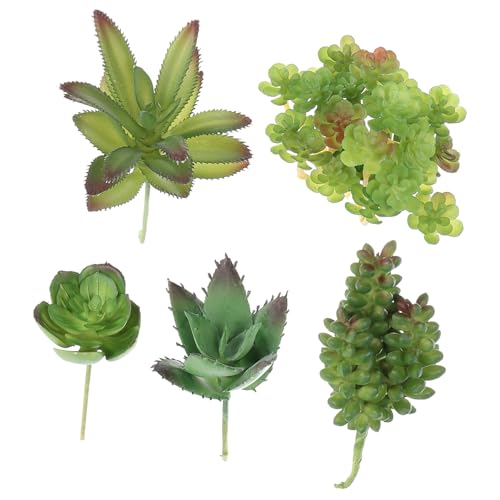 HAPINARY 1 Set Simulierte Sukkulenten, Landschaftssukkulenten, Kunstpflanzen Für Den Innenbereich, Künstliche Sukkulenten, Ungetopft, Realistisch, DIY, Gefälschte Sukkulenten, DIY, von HAPINARY