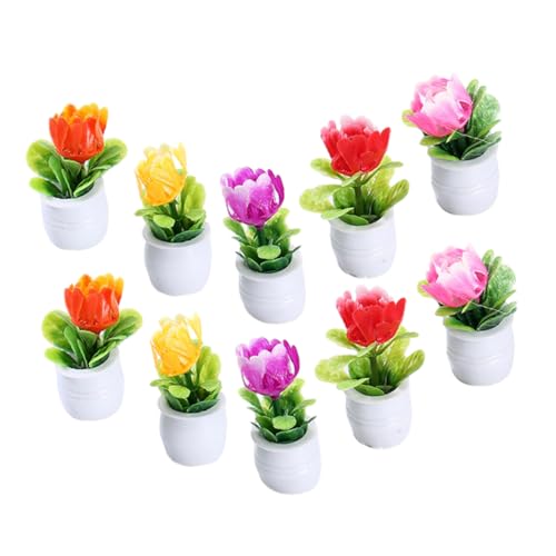 HAWILLOSCH Miniatur-puppenhauszubehör 10er Set Miniatur Bonsai Pflanzen Dekoration Für Puppenhaus Realistische Kleine Topfpflanzen Im Mikrolandschaft Stil Ideal Für DIY Garten Und Puppenhaus Zubehör von HAWILLOSCH