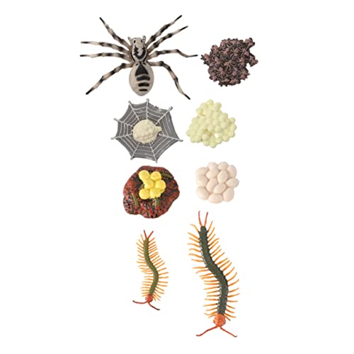 HAWILLOSCH 2 Setzt Den Lebenszyklus Von Centipede Und Tarantula-figuren Lustige Kinder Kognitive Spielzeug von HAWILLOSCH