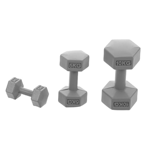 HAWILLOSCH 3-teiliges Miniatur-fitnesszubehör Für Puppenhäuser: Mini-hanteln-Modell – Puppen-sportgeräte – Hantelset Für Die Fitnessstudio-Dekoration Im Puppenhaus HAWILLOSCH 3-teiliges Miniatur-fitnesszubehör Für Puppenhäuser: Mini-hanteln-Modell – Puppen-sportgeräte – Hantelset Für Die Fitnessstudio-Dekoration Im Puppenhaus von HAWILLOSCH