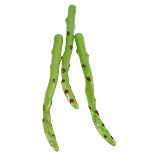 HAWILLOSCH 3pcs Gefälschtes Gemüse Simuliertes Spargel Lebensechter Spargelmodell Künstlich Lebensechter Spargel Falsches Essen Für Heimküchen -Display -Fotografie -Requisiten HAWILLOSCH 3pcs Gefälschtes Gemüse Simuliertes Spargel Lebensechter Spargelmodell Künstlich Lebensechter Spargel Falsches Essen Für Heimküchen -Display -Fotografie -Requisiten von HAWILLOSCH