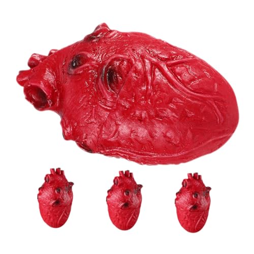 HAWILLOSCH 4 Stück Teiliges Halloween Deko Blutiges Fake Herz Hyperrealistische Gruselige Organe Langlebige Partyrequisite für Horror Mottopartys Sofort Einsatzbereit von HAWILLOSCH