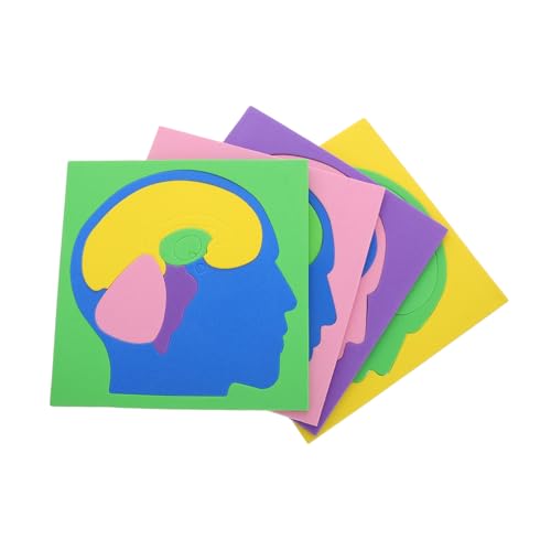 HAWILLOSCH 4 Stücke Gehirn Struktur Modell Puzzle Für Kinder Montessori Anatomie Lernen Spielzeug Für Stamm Bildung Und Unterricht von HAWILLOSCH