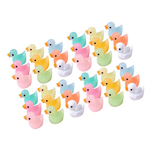 HAWILLOSCH 60 Stck. leuchtende Entenverzierung Bausatz kleine Enten Mini-Frösche Frosch cutermesserser heusgen anpflanztöpfchen Minifiguren dekorieren Mini -Gartendekoration Harz von HAWILLOSCH