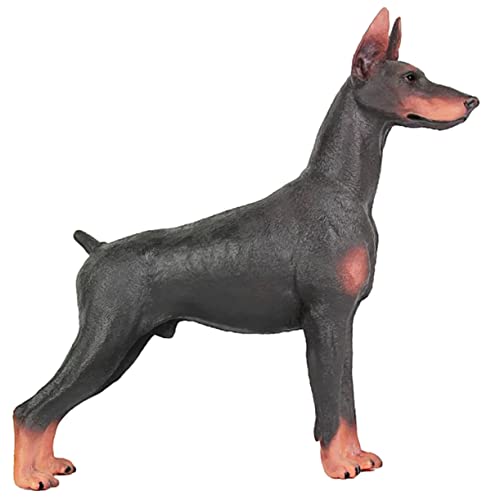 HAWILLOSCH Dobermann Hundestatue Realistische Tierfigur für Kognitive Spielzeugdekoration Simulationshund für Fotografie und Lehrmittel für und Raumdekoration HAWILLOSCH Dobermann Hundestatue Realistische Tierfigur für Kognitive Spielzeugdekoration Simulationshund für Fotografie und Lehrmittel für und Raumdekoration von HAWILLOSCH