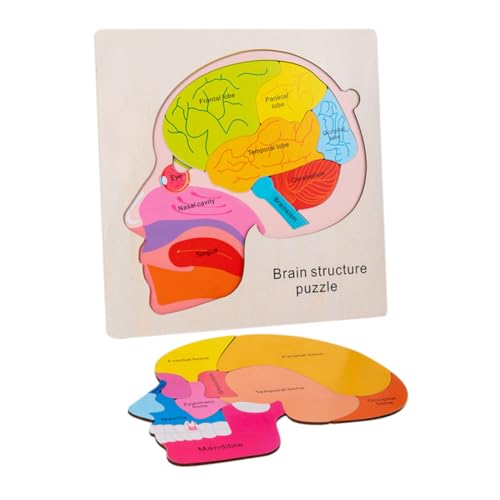 HAWILLOSCH Holzpuzzle Gehirnstruktur Lernspielzeug aus Mehrschichtigem Holz Montessori für Kleinkinder Fördert Kognitive Entwicklung und Form Erkennung Geeignet für Jungen und Mädchen HAWILLOSCH Holzpuzzle Gehirnstruktur Lernspielzeug aus Mehrschichtigem Holz Montessori für Kleinkinder Fördert Kognitive Entwicklung und Form Erkennung Geeignet für Jungen und Mädchen von HAWILLOSCH