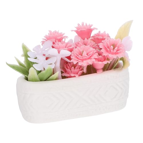 HAWILLOSCH Miniatur Blumenpott Ornament Für Puppenhaus Dekorative Keramiktopf Ideales Zubehör Für Miniaturgärten Und Puppenhäuser Perfekte Mini Pflanzen Dekoration HAWILLOSCH Miniatur Blumenpott Ornament Für Puppenhaus Dekorative Keramiktopf Ideales Zubehör Für Miniaturgärten Und Puppenhäuser Perfekte Mini Pflanzen Dekoration von HAWILLOSCH