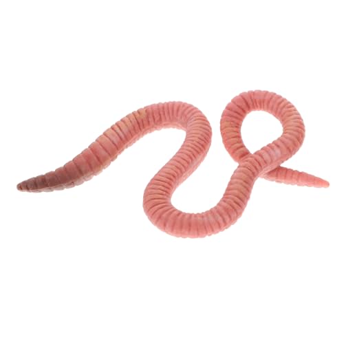 HAWILLOSCH Modellspielzeug Gefälschter Wurm Insektenkäfer Fuzzy Wurm Vogelspiel Verrücktes Wurmspielzeug Will Rote Würmer Zum Angeln Simulationsmodell Kunststoff HAWILLOSCH Modellspielzeug Gefälschter Wurm Insektenkäfer Fuzzy Wurm Vogelspiel Verrücktes Wurmspielzeug Will Rote Würmer Zum Angeln Simulationsmodell Kunststoff von HAWILLOSCH
