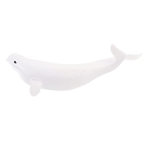 HAWILLOSCH Realistisches Wal Modellfigur Tier Deko Spielzeug Für Junge Mädchen Lifelike Simulation Weißwal Statue Für Schlafzimmer Kindergarten Und Lernspielzeug HAWILLOSCH Realistisches Wal Modellfigur Tier Deko Spielzeug Für Junge Mädchen Lifelike Simulation Weißwal Statue Für Schlafzimmer Kindergarten Und Lernspielzeug von HAWILLOSCH