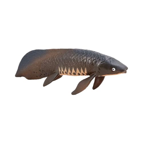 HAWILLOSCH Simulation Modell Realistisches Plastik Fischspielzeug für Tier Modell für Lernspielzeug und Dekoration für Vorschule und Kreative Spielstunden HAWILLOSCH Simulation Modell Realistisches Plastik Fischspielzeug für Tier Modell für Lernspielzeug und Dekoration für Vorschule und Kreative Spielstunden von HAWILLOSCH