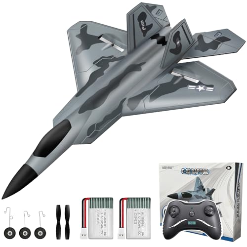 HAWK'S WORK 2 Kanal Ferngesteuertes Flugzeug F-22, Bereit zum Fliegen, 2,4 GHz RC Flugzeug Leicht zu Fliegen für Kinder & Anfänger von HAWK'S WORK