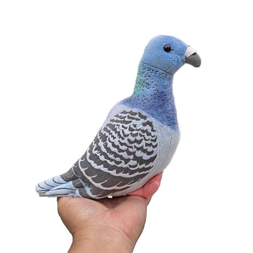 HCGX 7,5" Rock-Plüschtier, realistische Stofftaube, weiches Vogel-Plüschtier-Geschenk (Columba rupestris) von HCGX