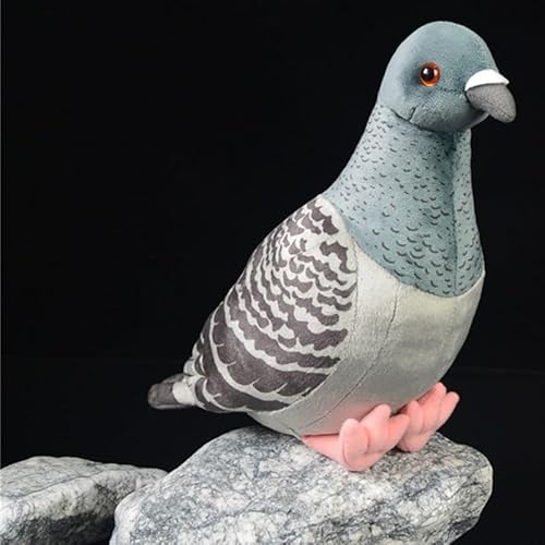 HCGX 8" Realistisches graues Tauben-Plüschtier, süßes Plüschtier aus Stoff, weicher Vogel (Columba rupestris) von HCGX