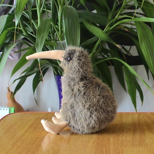 HCGX Simulation Kiwi-Plüschpuppe, Kiwi-Vogel, Seeland-Kiwi, Kiwi, flügelloses Kiwi-Plüschtier, weich und niedlich, Geschenk for die frühe Bildung, Heimdekoration(Grey,15cm) von HCGX
