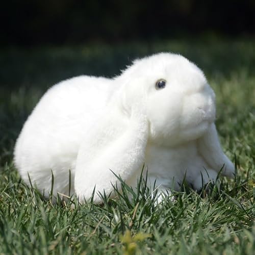 HCGX Simulation süße Hängeohr-Kaninchen-Plüschpuppe, weiße Kaninchen-Puppe, super süßes Kaninchen-Spielzeug, Dekoration, Geschenk(White) von HCGX