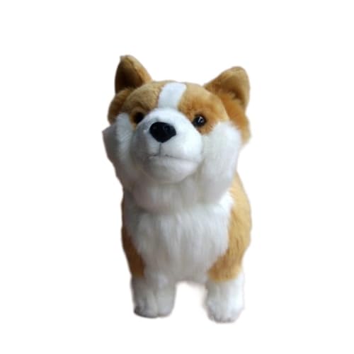 HCGX Simulation super süßes Haustier Hundespielzeug süße stehende walisische Corgi-Plüschpuppe weiches und Geschenk von HCGX
