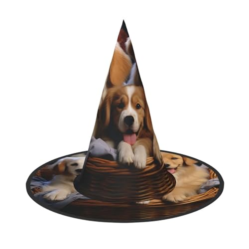HCLYvexiria Hexenhüte Halloween Kegel Zauberer Hut Hundekörbe und Hunde Hexenhüte Halloween Hut Kostüm Cosplay HCLYvexiria Hexenhüte Halloween Kegel Zauberer Hut Hundekörbe und Hunde Hexenhüte Halloween Hut Kostüm Cosplay von HCLYvexiria