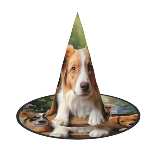 HCLYvexiria Hexenhüte Halloween Kegel Zauberer Hut Niedliche Hunde Tier Hexenhüte Halloween Hut Kostüm Cosplay HCLYvexiria Hexenhüte Halloween Kegel Zauberer Hut Niedliche Hunde Tier Hexenhüte Halloween Hut Kostüm Cosplay von HCLYvexiria