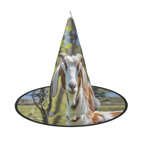 HCLYvexiria Hexenhüte Halloween Kegel Zauberer Hut Ziege Hexenhüte Halloween Hut Kostüm Cosplay HCLYvexiria Hexenhüte Halloween Kegel Zauberer Hut Ziege Hexenhüte Halloween Hut Kostüm Cosplay von HCLYvexiria