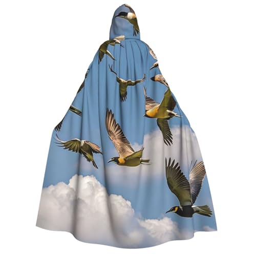 HCLYvexiria Kapuzenumhang Uni Halloween Kapuzenumhang Vogelherde Kapuzenmantel Halloween Umhang Cosplay Kostüme HCLYvexiria Kapuzenumhang Uni Halloween Kapuzenumhang Vogelherde Kapuzenmantel Halloween Umhang Cosplay Kostüme von HCLYvexiria