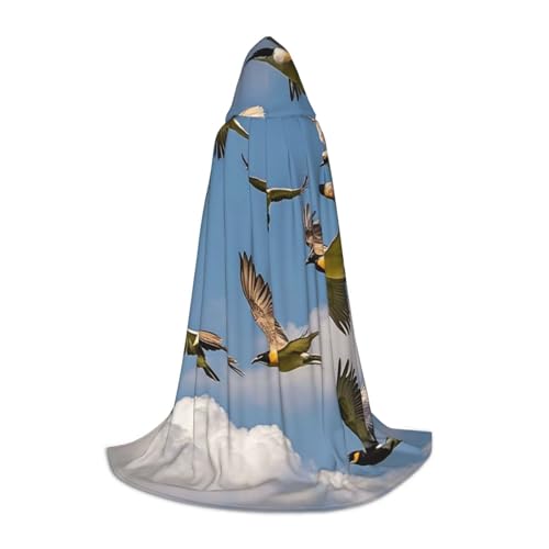 HCLYvexiria Kapuzenumhang Uni Halloween Kapuzenumhang Vogelherde Kapuzenmantel Halloween Umhang Cosplay Kostüme HCLYvexiria Kapuzenumhang Uni Halloween Kapuzenumhang Vogelherde Kapuzenmantel Halloween Umhang Cosplay Kostüme von HCLYvexiria