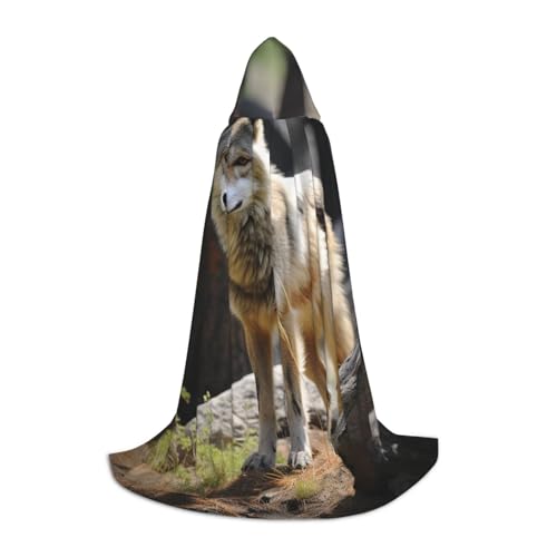 HCLYvexiria Kapuzenumhang Uni Halloween Kapuzenumhang Wildlife Wolf Kapuzenmantel Halloween Umhang Cosplay Kostüme HCLYvexiria Kapuzenumhang Uni Halloween Kapuzenumhang Wildlife Wolf Kapuzenmantel Halloween Umhang Cosplay Kostüme von HCLYvexiria