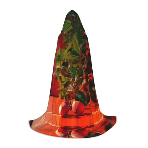 HCVXBSA Schwarzer Kapuzenumhang mit Obst auf der Fensterbank, für Damen und Herren, Zauberer-Umhang, langlebig und bequem, langer Umhang für Halloween, Cosplay, Partys, Größe M HCVXBSA Schwarzer Kapuzenumhang mit Obst auf der Fensterbank, für Damen und Herren, Zauberer-Umhang, langlebig und bequem, langer Umhang für Halloween, Cosplay, Partys, Größe M von HCVXBSA
