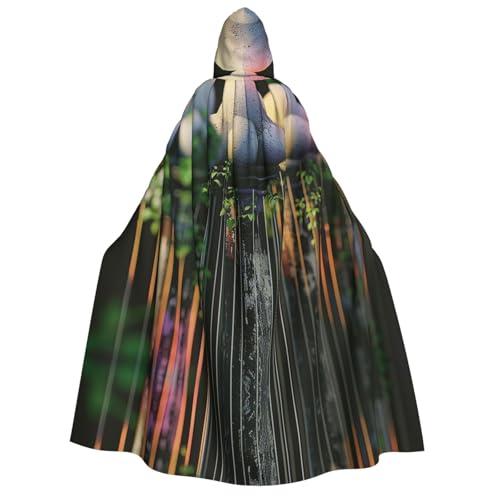 HCVXBSA Umhang mit Kapuze für Erwachsene für Damen und Herren, perfekt für Halloween, Motto-Partys, Rollenspiele, feine Wassertropfen von HCVXBSA