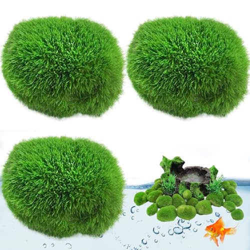 HDBHSBE Mooskugeln für Fischtank 3pcs 1.2-1.6 Moosfelsen Künstliche Kugeln Dekorative Fälschung für Terrarium Aquarium Microlandscape Dekorativ HDBHSBE Mooskugeln für Fischtank 3pcs 1.2-1.6 Moosfelsen Künstliche Kugeln Dekorative Fälschung für Terrarium Aquarium Microlandscape Dekorativ von HDBHSBE