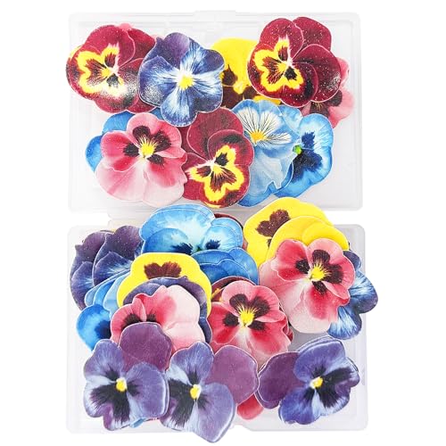 HDGSAFD 60 Kuchenpapierblumen, Verzierte Stiefmütterchenblumen, Florale Kuchendekoration, Mini-3D-Papierblumen, Dessertpapierblumendekoration, Geeignet Für Feier, Partygebäckdekoration von HDGSAFD