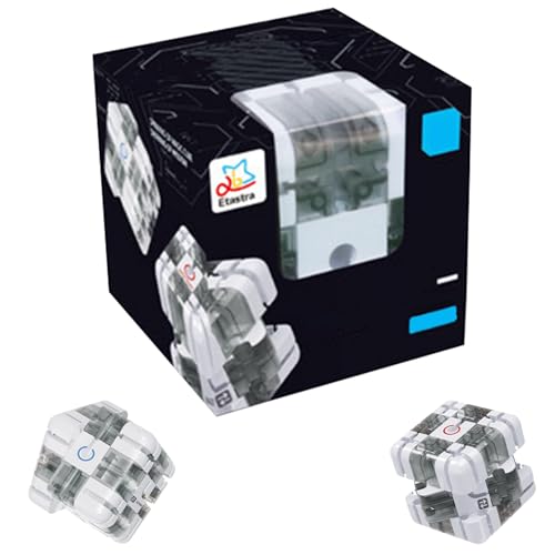 Large Labyrinth 3D Puzzle Maze Cube, 2-In-1 Puzzle Maze Cube, Kugellabyrinth ZauberwüRfel Spielzeug, 3D Labyrinth Spiel Spatial Awareness Brain Training Toy for Adults Teens (B) von HDQQEU