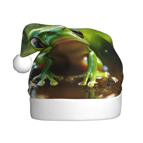 Frosch und Regen Weihnachtsmütze, Weihnachtsmannmütze, Kostüm, Zubehör für Weihnachten, Neujahr, Urlaub, Party, Kopfbedeckung Frosch und Regen Weihnachtsmütze, Weihnachtsmannmütze, Kostüm, Zubehör für Weihnachten, Neujahr, Urlaub, Party, Kopfbedeckung von HDSKFNS