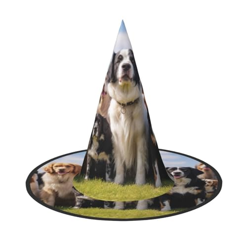 HDSKFNS Halloween-Hexenhut, Zaubererhut für Partys, perfektes Accessoire für Kostüme, Urlaubsparty HDSKFNS Halloween-Hexenhut, Zaubererhut für Partys, perfektes Accessoire für Kostüme, Urlaubsparty von HDSKFNS