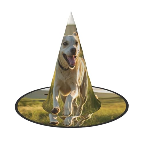 HDSKFNS Halloween-Hexenhut mit Hunde-Aufdruck, Zaubererhut für Partys, perfektes Accessoire für Kostüme, Urlaubsparty HDSKFNS Halloween-Hexenhut mit Hunde-Aufdruck, Zaubererhut für Partys, perfektes Accessoire für Kostüme, Urlaubsparty von HDSKFNS