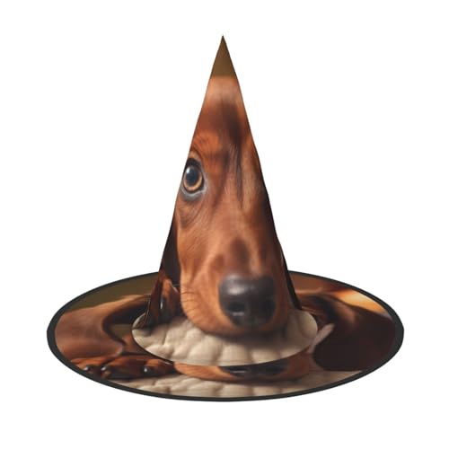 HDSKFNS Niedlicher Dackel-Hunde-Druck, Halloween-Hexenhut, Zaubererhut für Partys, perfektes Accessoire für Kostüme, Urlaubsparty von HDSKFNS