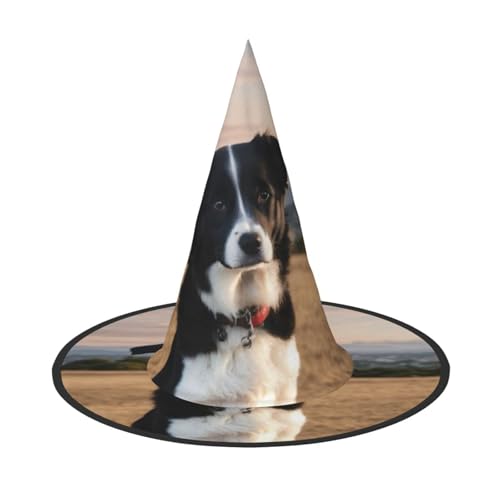 HDSKFNS Welpen-Hunde-Aufdruck, Halloween-Hexenhut, Zaubererhut für Partys, perfektes Accessoire für Kostüme, Urlaubsparty von HDSKFNS