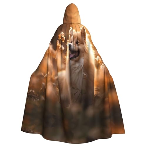 Hexenumhang mit Blumenmuster, für Halloween, Weihnachten, Karneval, Cosplay, Kostüm, Party, Umhang, Schwarz Hexenumhang mit Blumenmuster, für Halloween, Weihnachten, Karneval, Cosplay, Kostüm, Party, Umhang, Schwarz von HDSKFNS