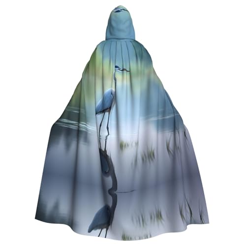 Loon Nature Hexenumhang mit Vogelmotiv, Halloween, Weihnachten, Karneval, Cosplay, Kostüm, Party, Umhang, Schwarz Loon Nature Hexenumhang mit Vogelmotiv, Halloween, Weihnachten, Karneval, Cosplay, Kostüm, Party, Umhang, Schwarz von HDSKFNS